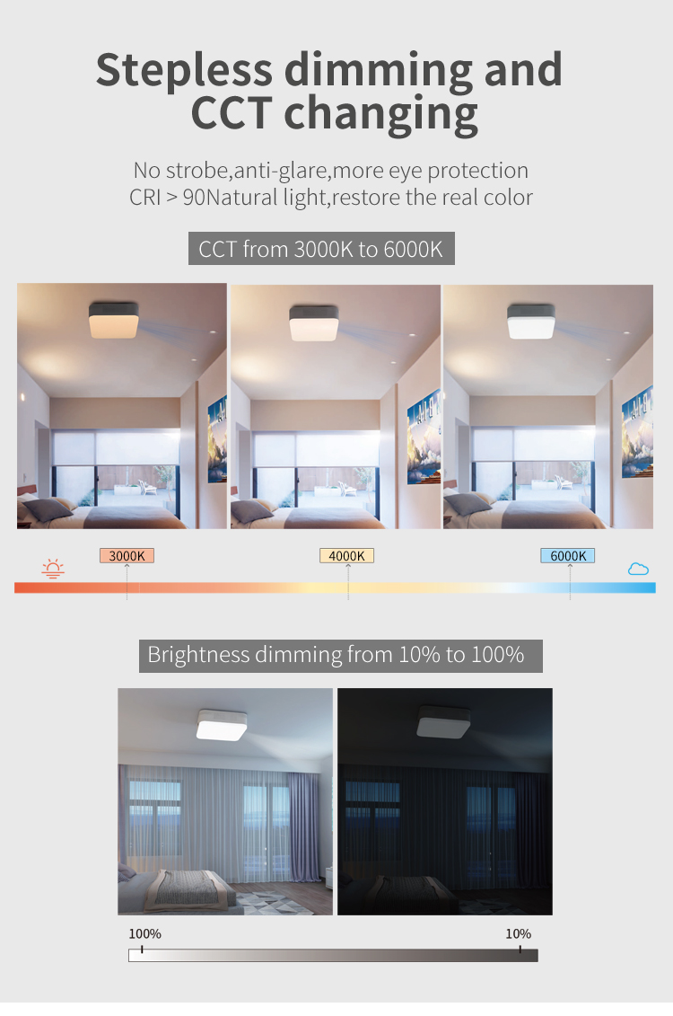 LED projection ceiling light